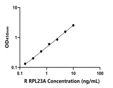 大鼠 Elisa試劑盒