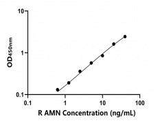 大鼠 Elisa試劑盒
