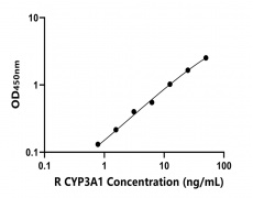 大鼠 Elisa試劑盒