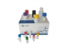 其他 Elisa試劑盒