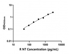 大鼠 Elisa試劑盒