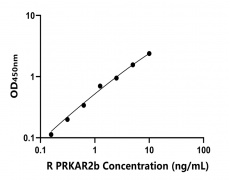 大鼠 Elisa試劑盒