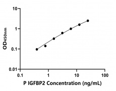 其他 Elisa試劑盒