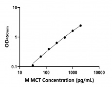 小鼠 Elisa試劑盒