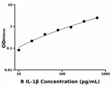 其他 Elisa試劑盒