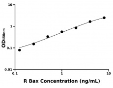 大鼠 Elisa試劑盒