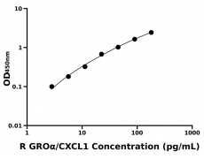 大鼠 Elisa試劑盒