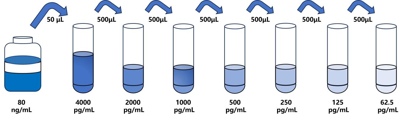 馬(PIICP)ELISA試劑盒