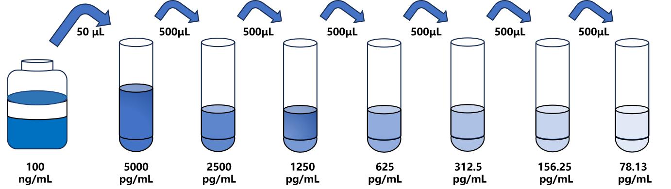 小鼠(ADORA2b)ELISA試劑盒 小鼠(ADORA2b)ELISA試劑盒