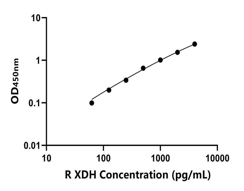 大鼠(XDH)ELISA試劑盒