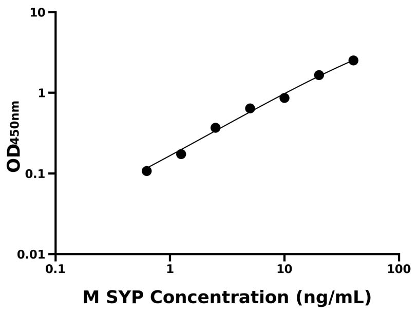小鼠(SYP)ELISA試劑盒 小鼠(SYP)ELISA試劑盒