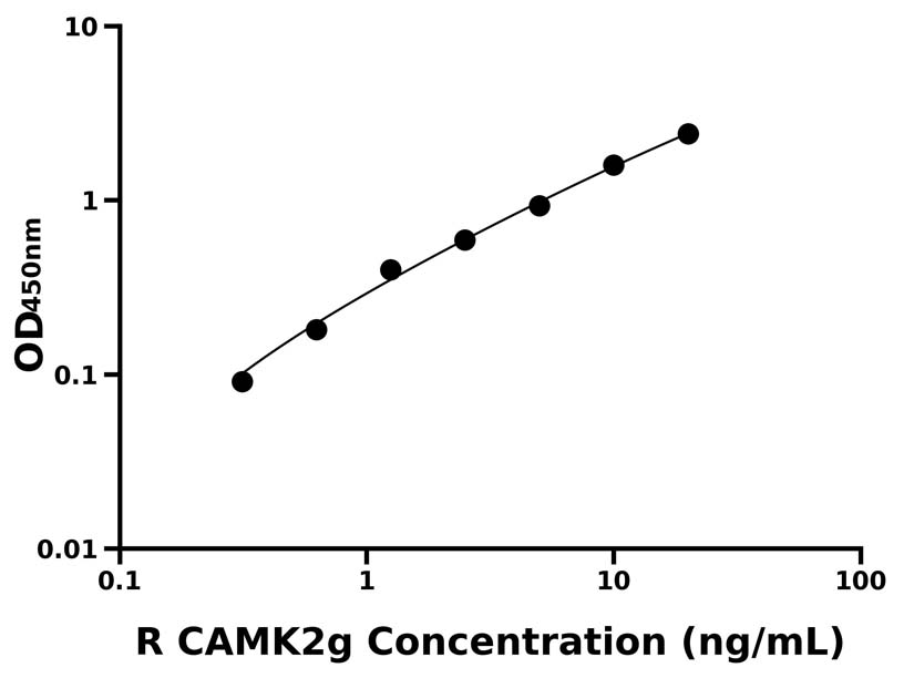 大鼠(CAMK2g)ELISA試劑盒 大鼠(CAMK2g)ELISA試劑盒